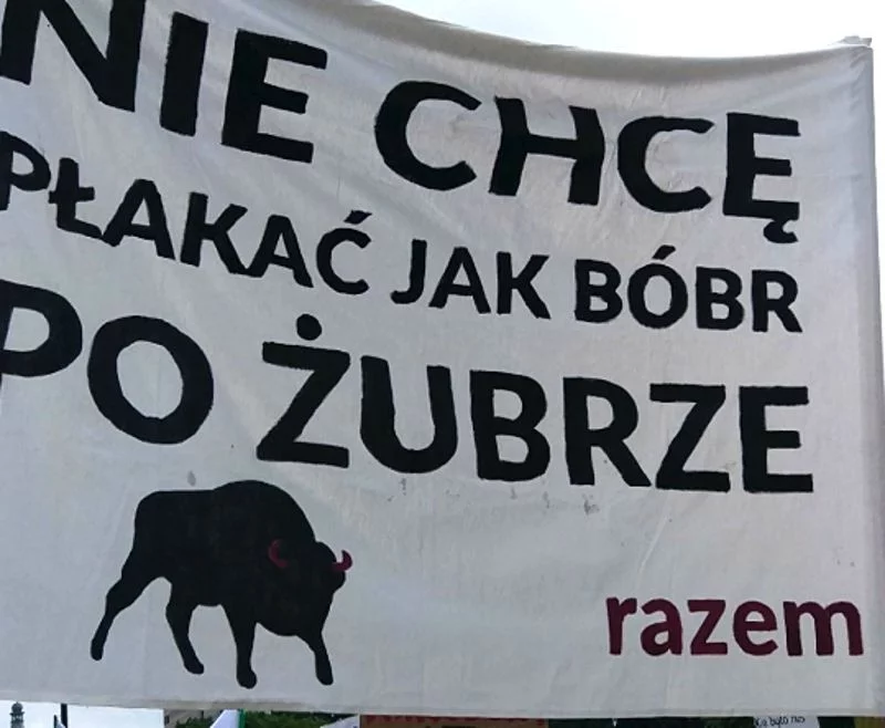 Przez ulice Warszawy przeszedł dziś "Marsz dla Puszczy"
