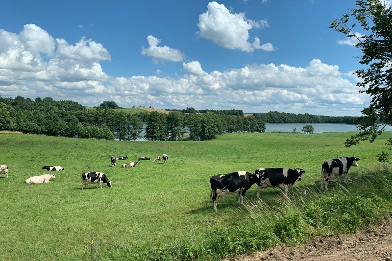 "Ruszaj w Polskę” z Wiejskimi Ziemniaczkami" to akcja, która ma na celu stworzenie wakacyjnej mapy Polski z udziałem bloggerów i influencerów podróżniczych