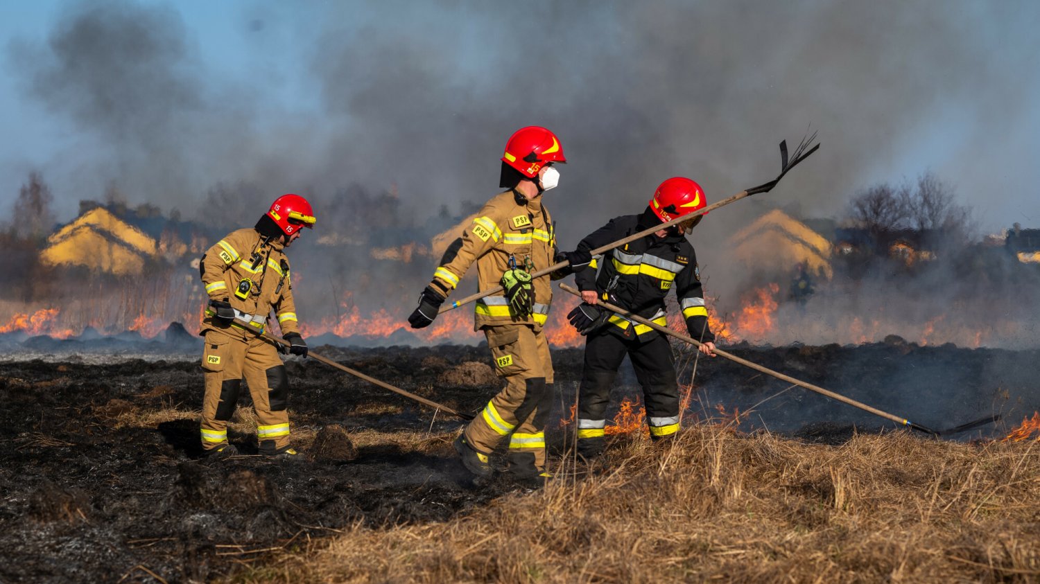 Jakie kary za wypalanie traw i ognisko w lesie? Rząd zaostrza przepisy