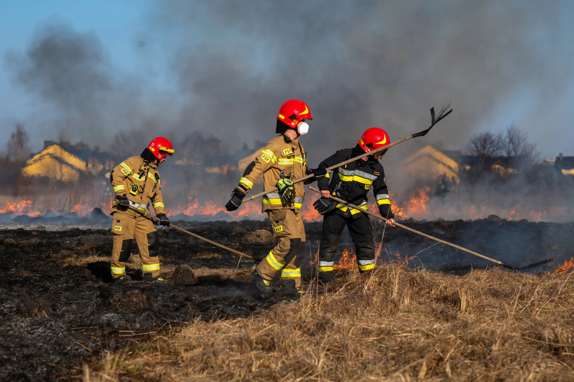 Surowsze kary za zagrożenie pożarowe. Wyższe mandaty za wypalanie traw i ognisko w lesie Jakie kary za wypalanie traw i ognisko w lesie? Rząd zaostrza przepisy