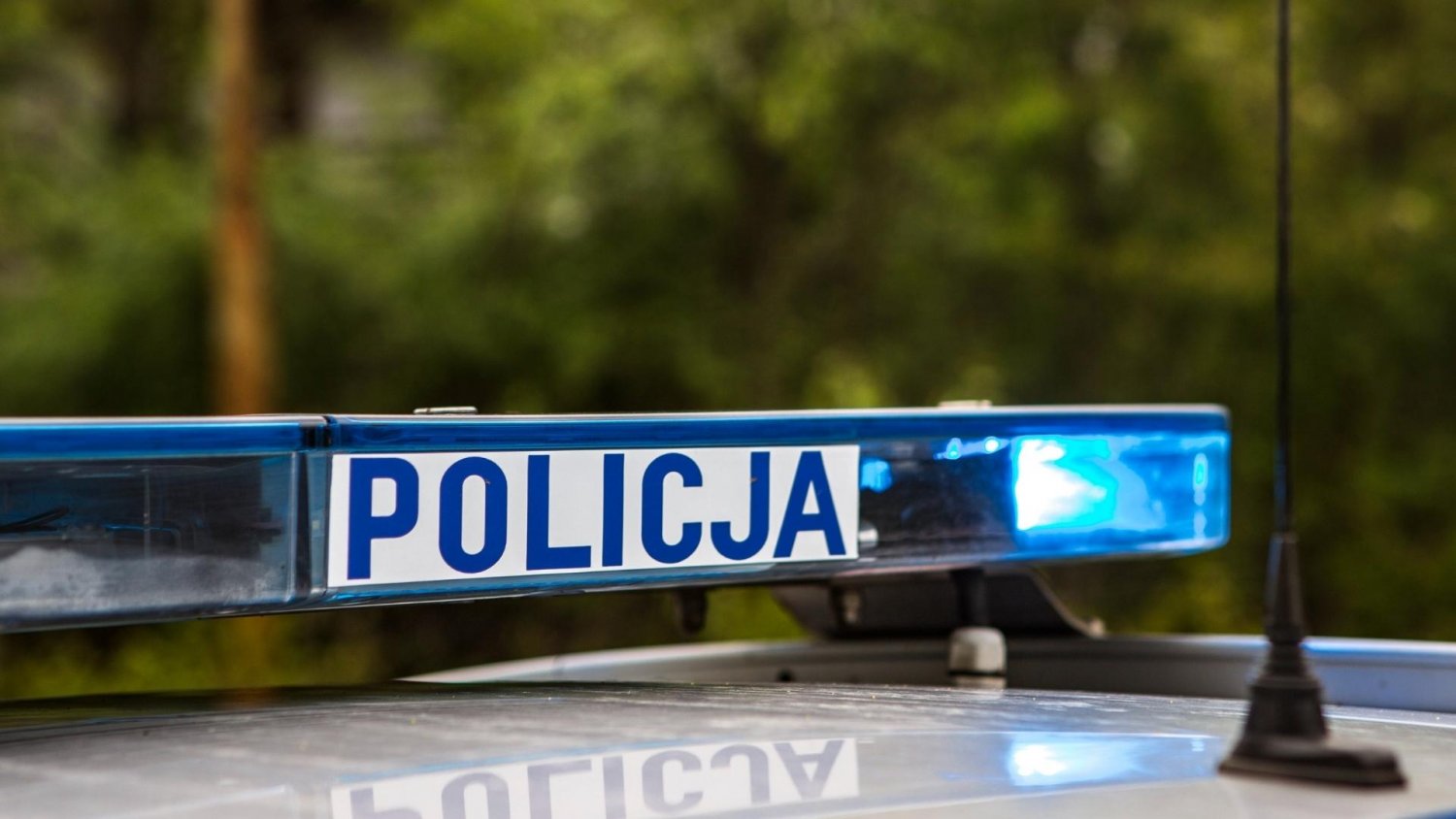 Sklep w Budziszowie Wielkim i wielka akcja służb. Alarm wywołała ta paczka.