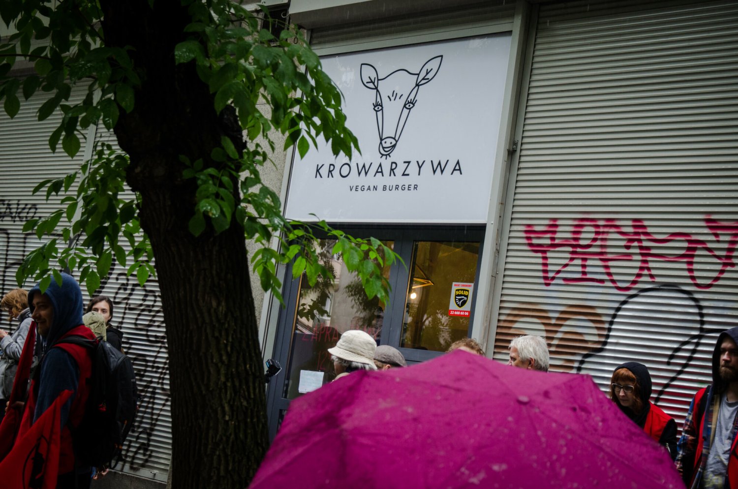 Krowarzywa bankrutują. Upada jedna z najpopularniejszych wegańskich sieci restauracji w Polsce.