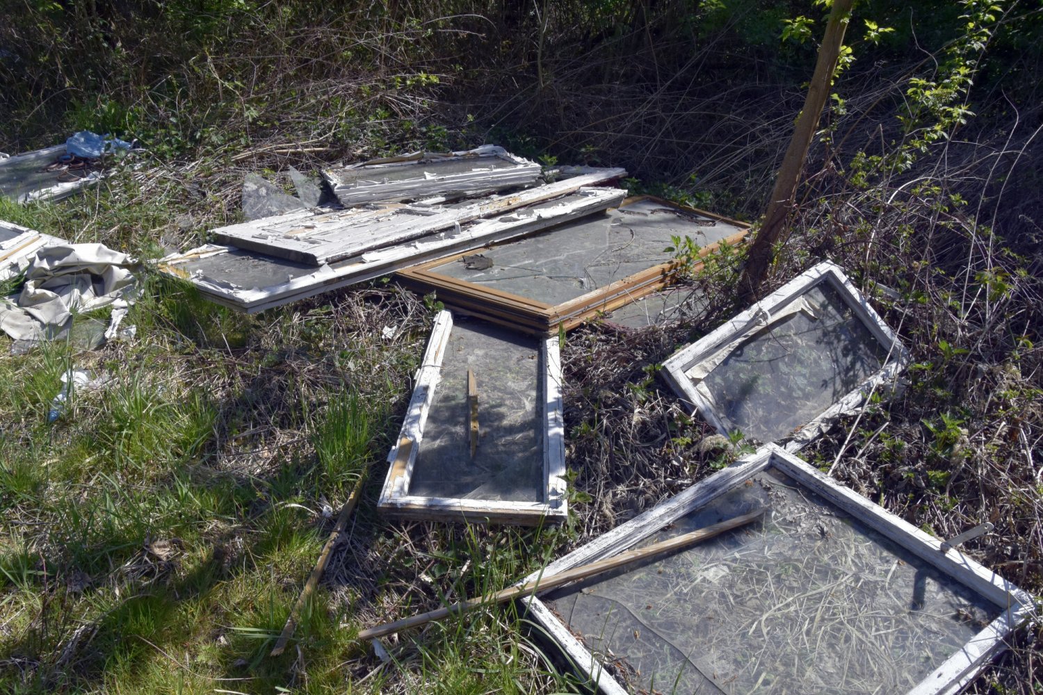 Segregacja odpadów drewnianych jest dość niejasną kwestią dla wielu osób.