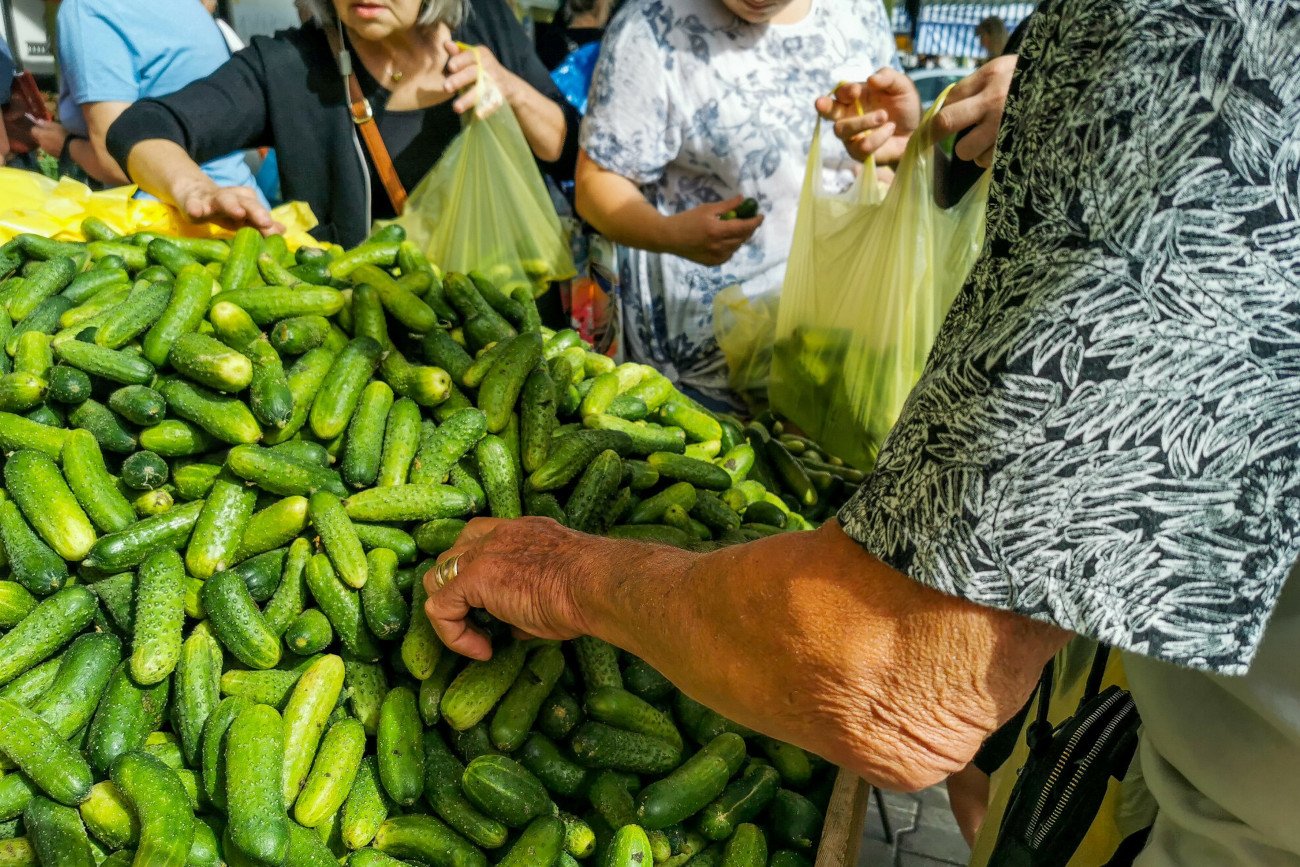 Jest mało ogórków. Są drogie. Dlaczego w tym roku wszyscy narzekają?