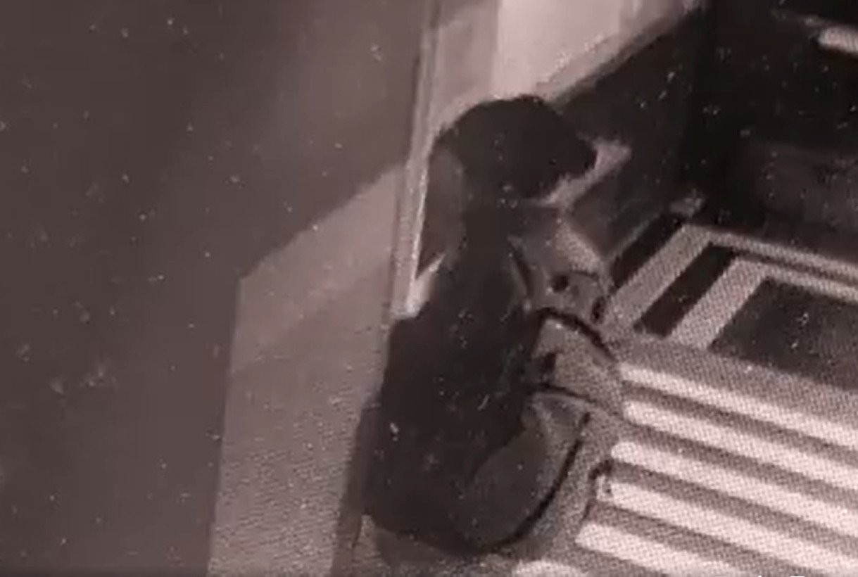 Nieznany sprawca zniszczył drzwi wejściowe do biura PiS w Krakowie