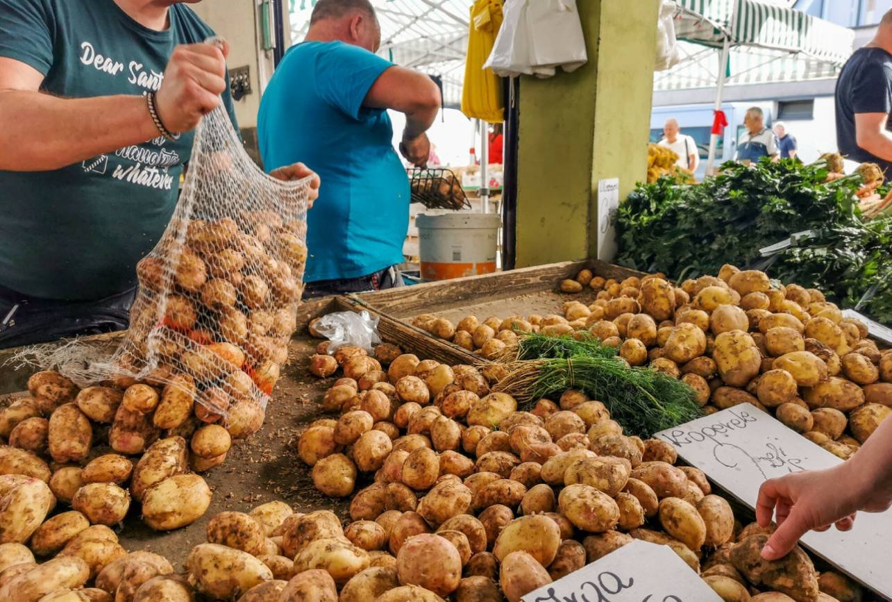 Jak rozpoznać prawdziwe młode ziemniaki? Sezon, pochodzenie, różnice
