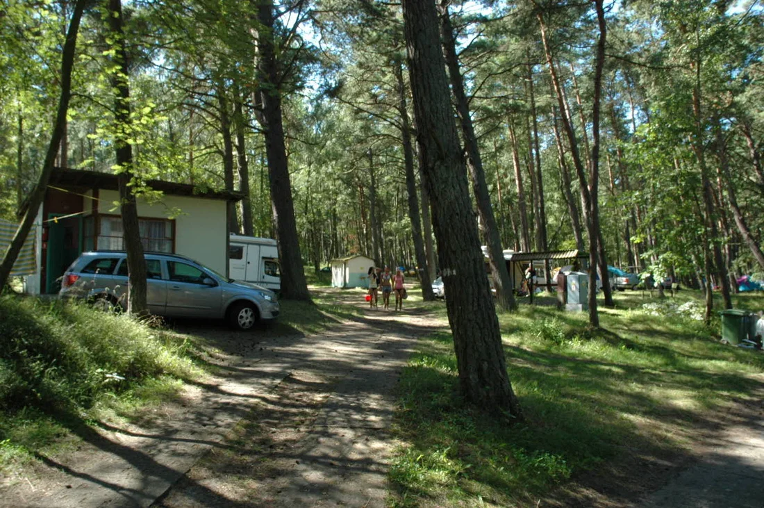 Pole namiotowe 179 w Krynicy Morskiej