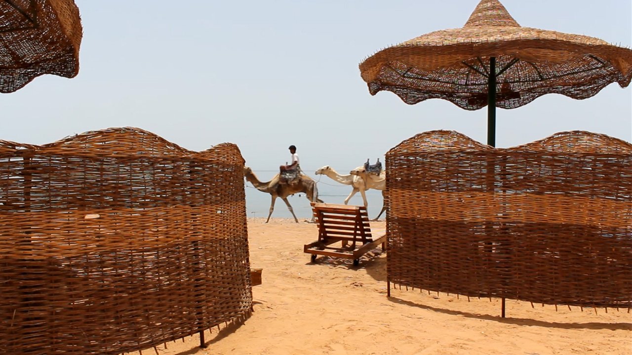 Beduini bardzo często próbują zarobić na turystach, świadcząc różne usługi.