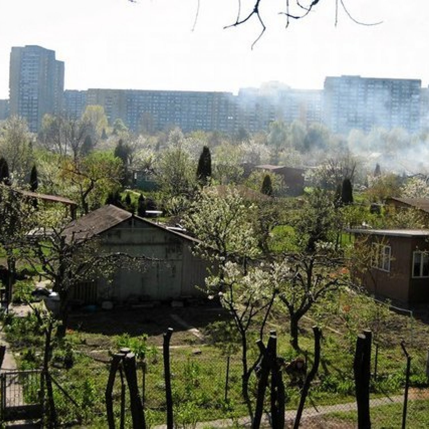 Wyrok Trybunału w sprawie działkowców
