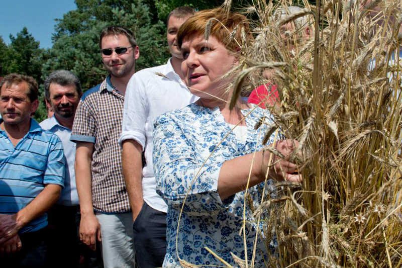 Beata Szydło ruszyła w kampanijną trasę.