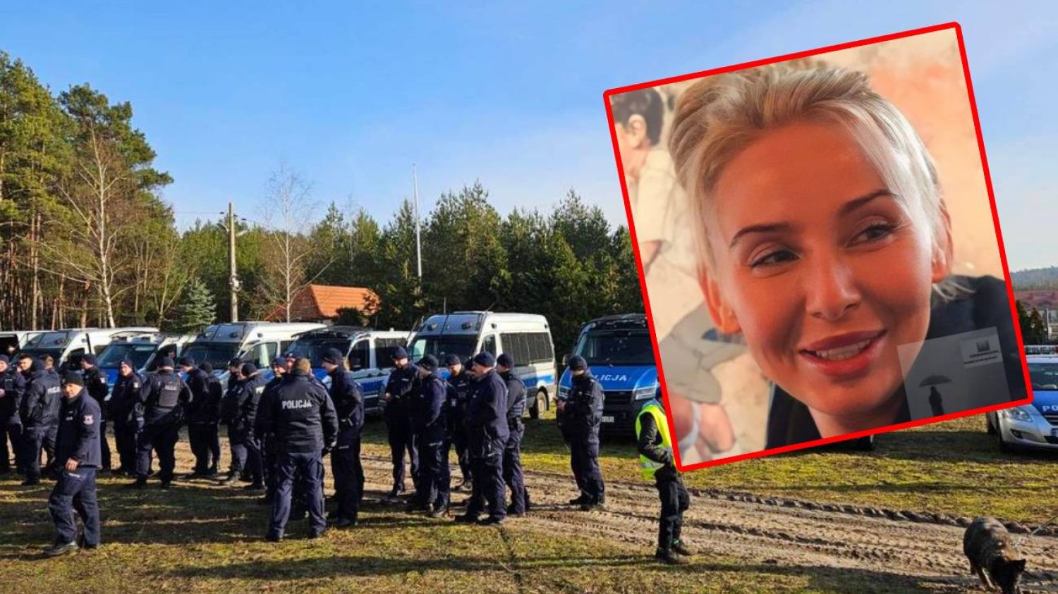 Zaginiona Katarzyna Wojnarowska. Niewykluczony scenariusz kryminalny