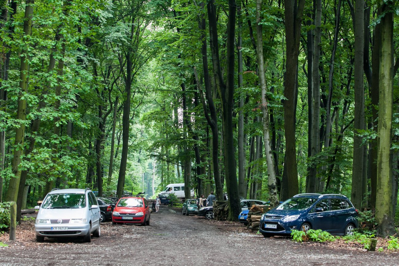 Parking w lesie.