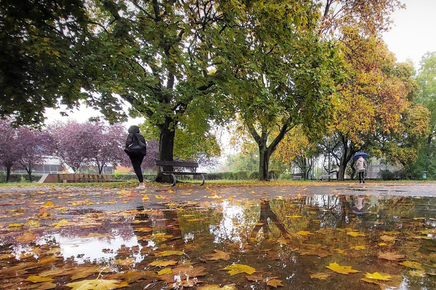 Początek jesieni da nam się we znaki. Wiadomo, kiedy będą pierwsze przymrozki