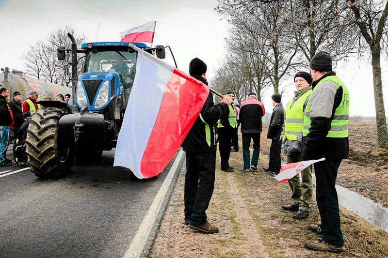 Ostatnie protesty rolników związanych z OPZZ i "Solidarnością" nie wzbudzają sympatii wielu ich kolegów po fachu, którzy nie mają czasu na strajki.