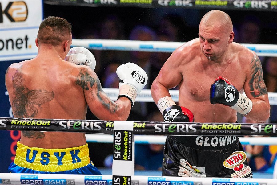 Jedna z gali Polsat Boxing Night