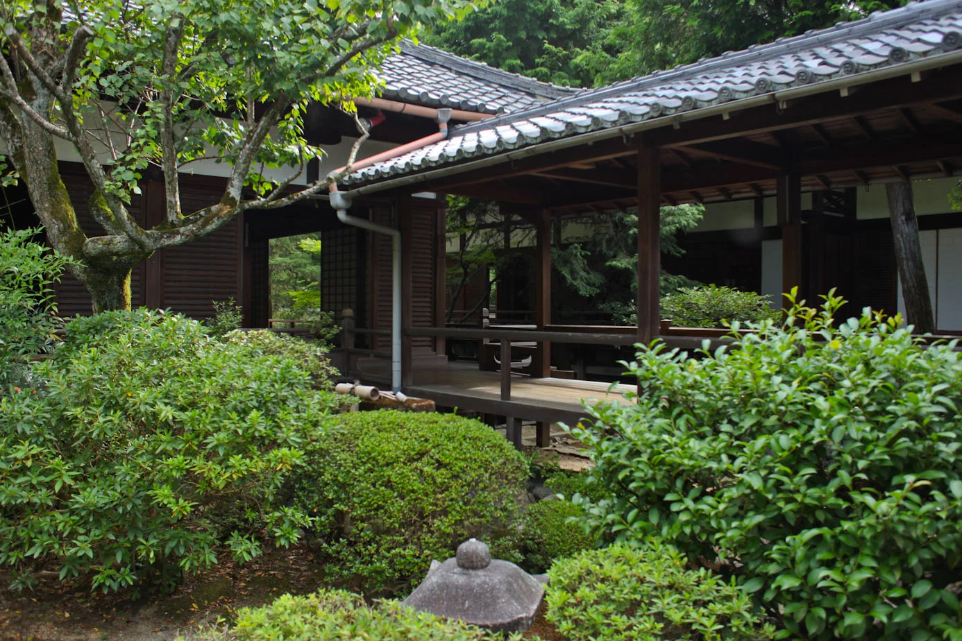 Shorenin Temple