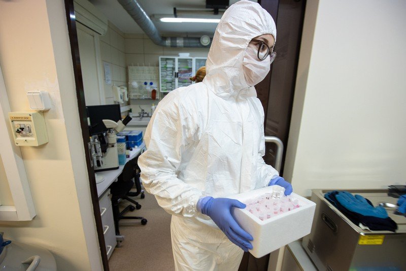 Polska i Szwecja są jedynymi krajami w UE, które nie miały szczytu epidemii.