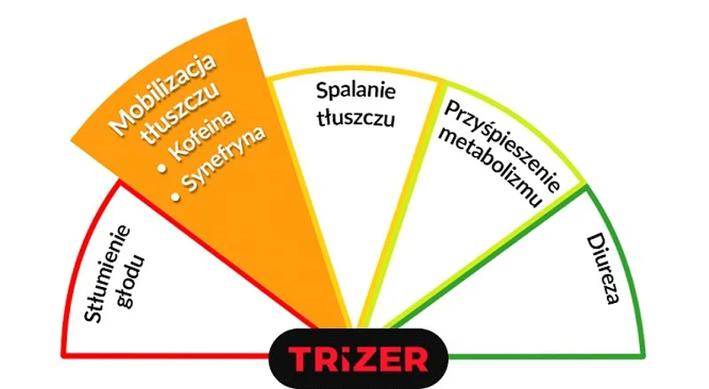 Trizer - mobilizacja tłuszczu