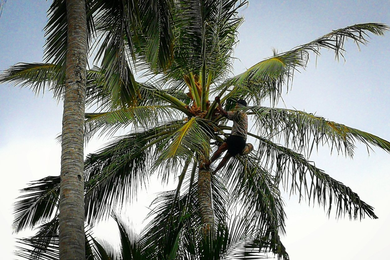 Wakacje na Malediwach to dla turystów raj. Rajskie nie są jednak zarobki tamtejszych pracowników.