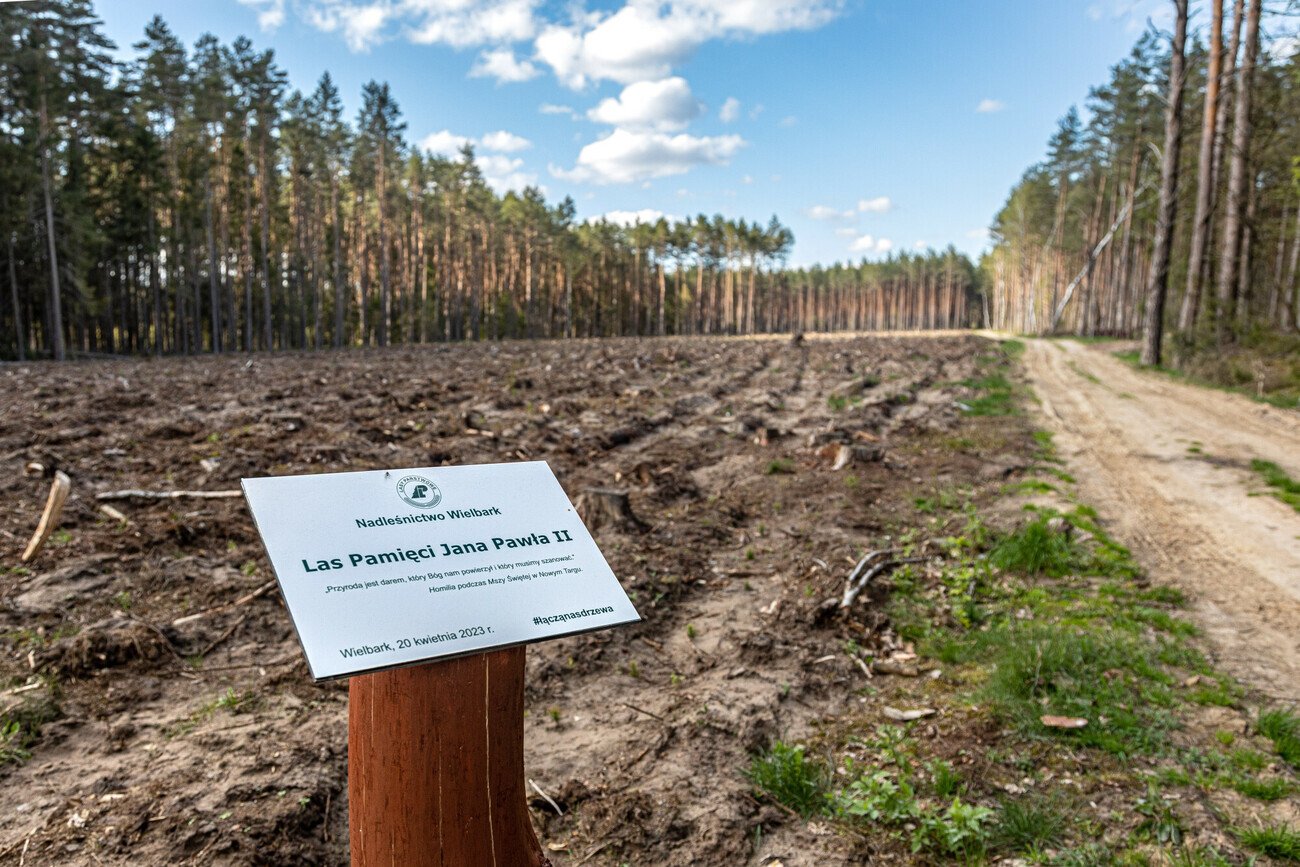 Tak PiS dba o pamięć po Janie Pawle II.