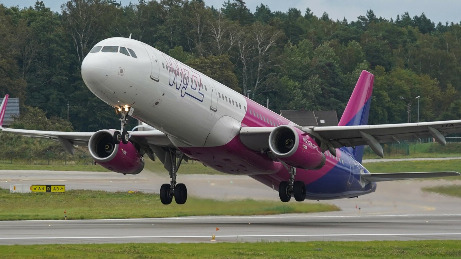 Wizz Air ma awarię systemu rezerwacyjnego. Firma tłumaczy, co się dzieje.