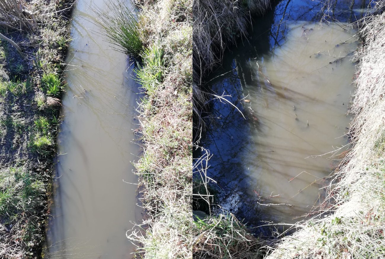 Katastrofa Odry to wierzchołek góry lodowej. Masy odchodów nad Bałtykiem