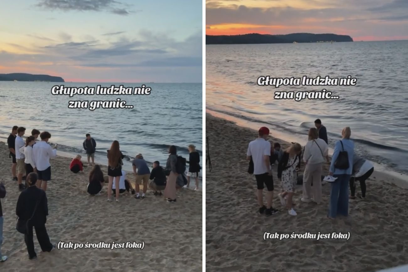Sensacja na plaży w Sopocie. Takie sceny nigdy nie powinny mieć miejsca