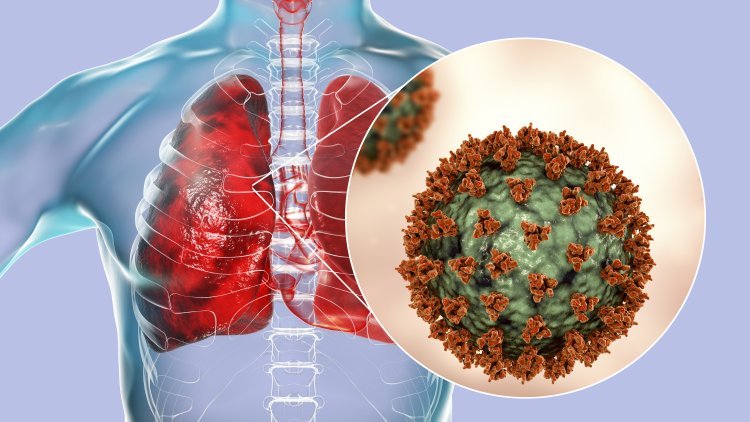 Ministerstwo Zdrowia podało nowe dane na temat epidemii COVID-19 w Polsce.