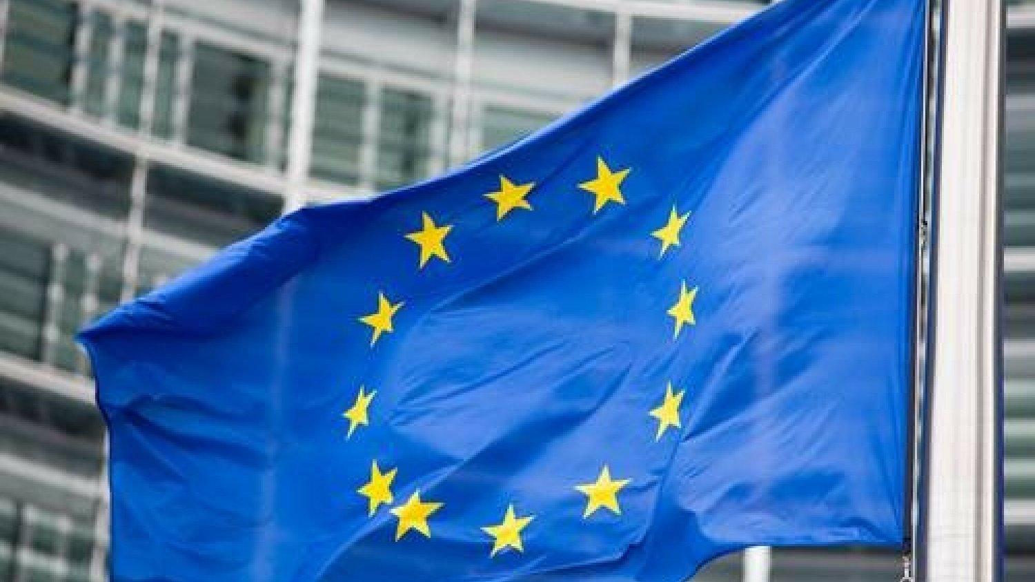 Rzeczniczka PiS zapewnia, że partia nie chce wyjścia Polski z Unii Europejskiej.