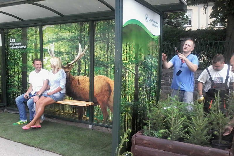 W Gdańsku na autobus można poczekać w lesie.