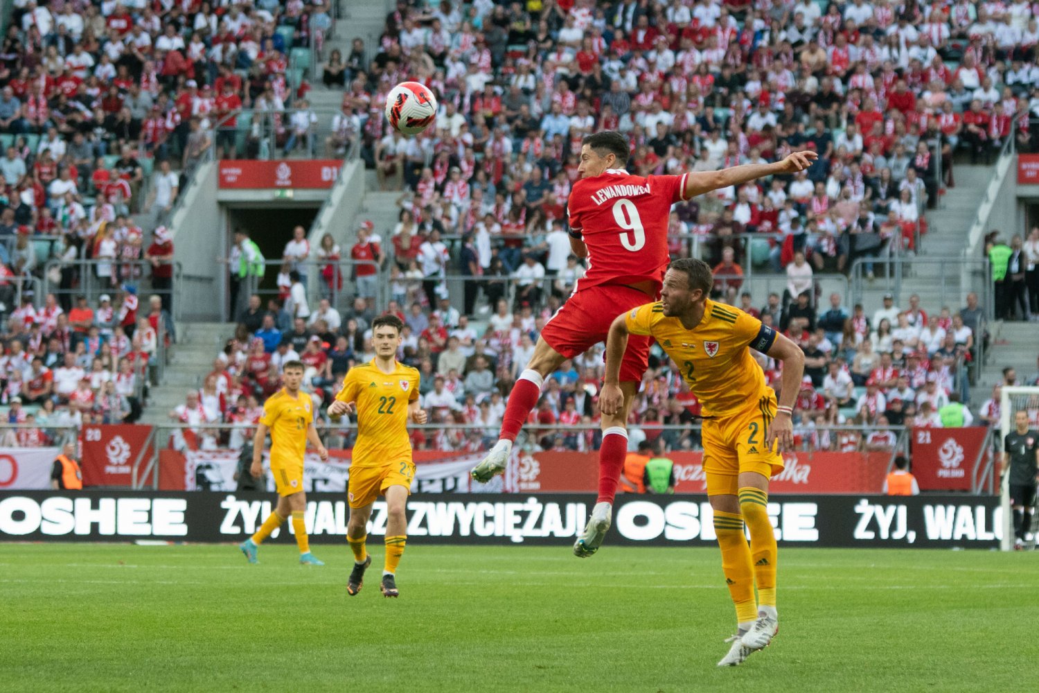 Ostatni tak cenny test Biało-Czerwonych przed mundialem. Czy wreszcie wygramy?