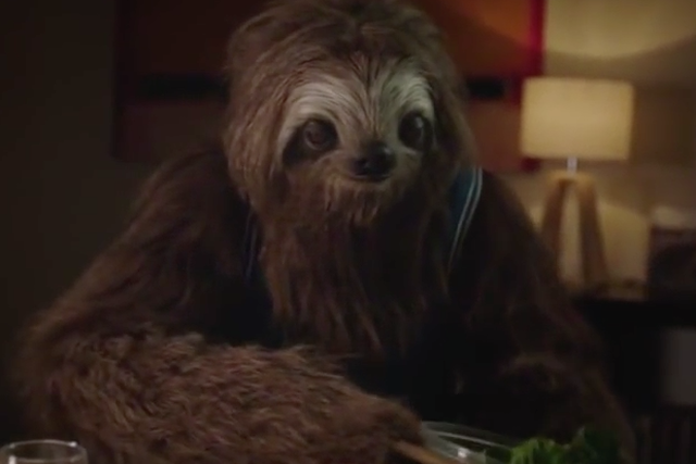 Zjarany leniwiec w kampanii przeciwko paleniu marihuany