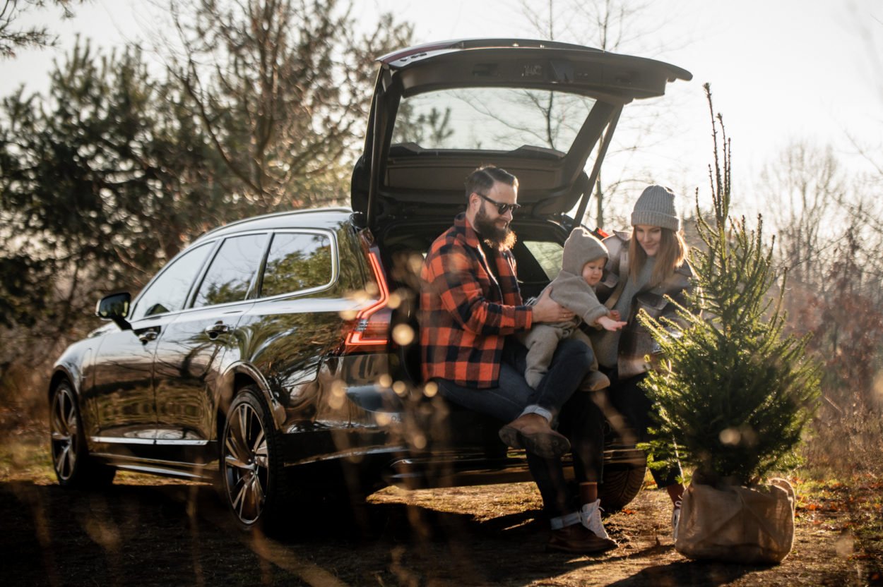 Ekologiczna akcja Wypożyczalnia Choinek Volvo rusza 17 grudnia.