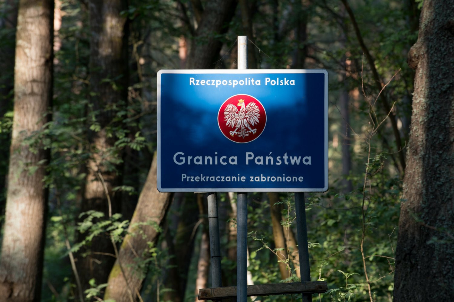 Manu, Charlotte i Elisa z Kamerunu są jednymi z uchodźców, którzy przekroczyli w zeszłym roku zieloną granicę polsko-białoruską (zdjęcie ilustracyjne)