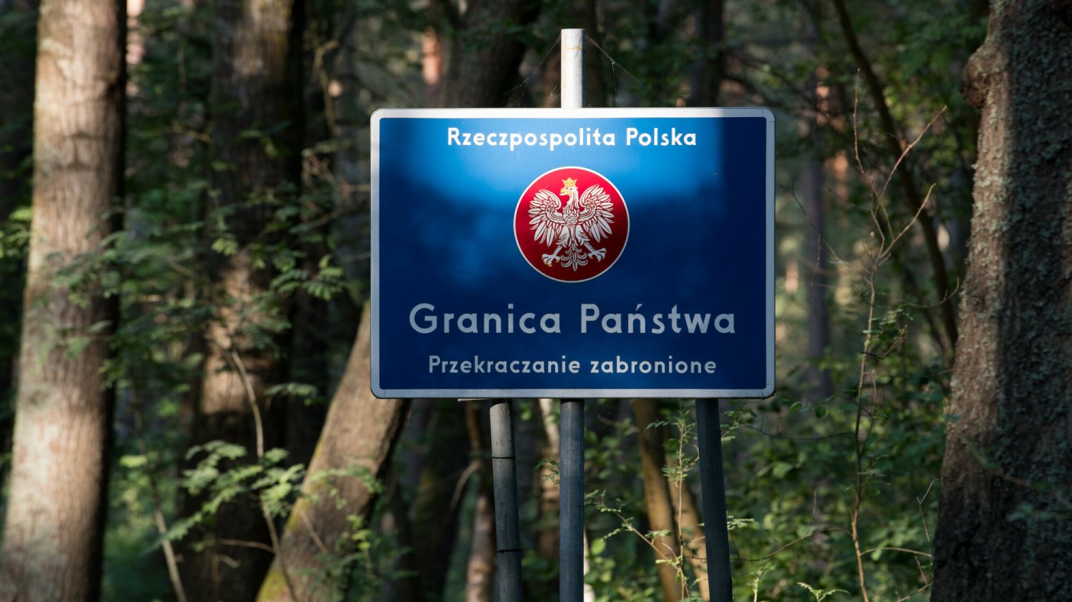 Manu, Charlotte i Elisa z Kamerunu są jednymi z uchodźców, którzy przekroczyli w zeszłym roku zieloną granicę polsko-białoruską (zdjęcie ilustracyjne)