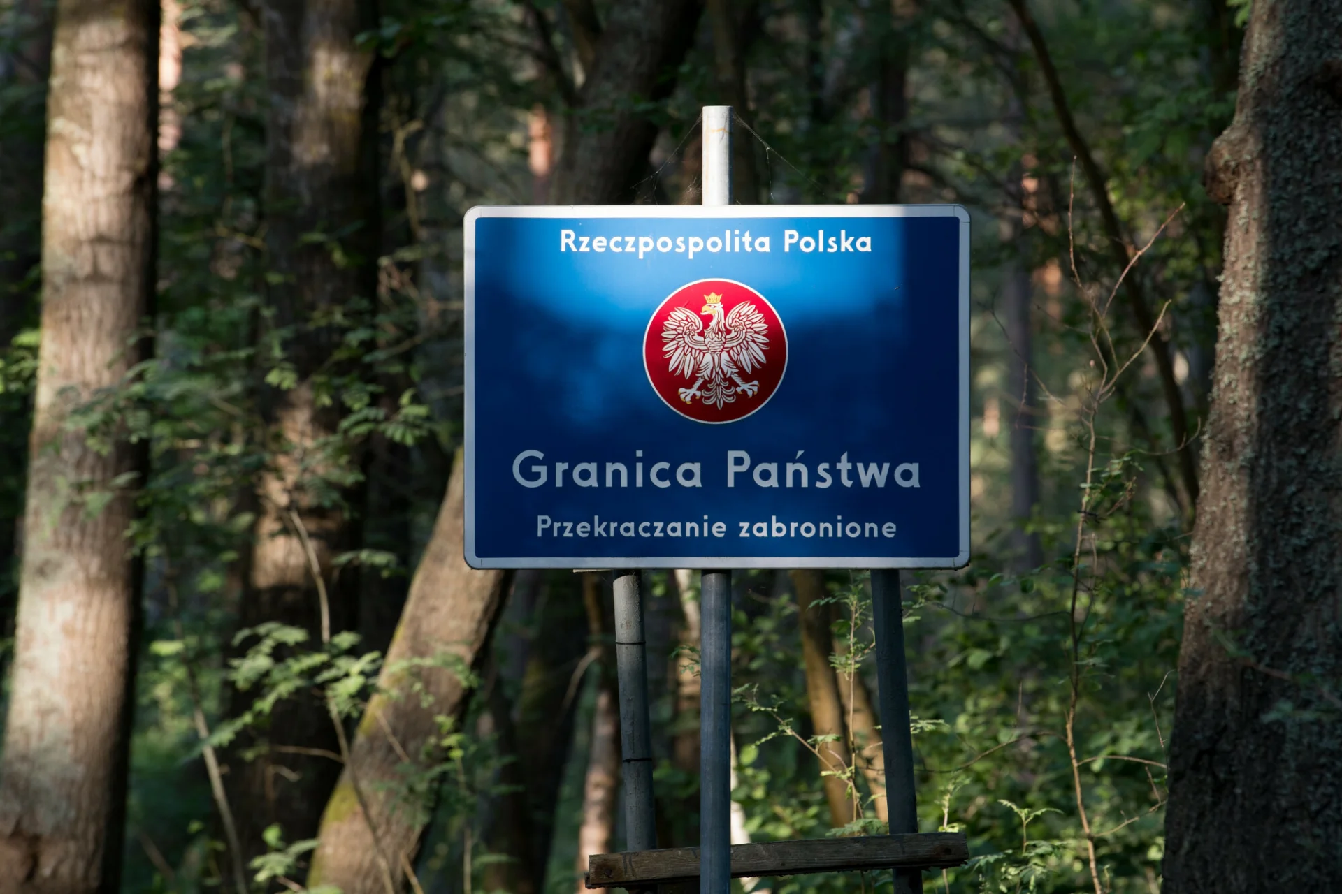 Manu, Charlotte i Elisa z Kamerunu są jednymi z uchodźców, którzy przekroczyli w zeszłym roku zieloną granicę polsko-białoruską (zdjęcie ilustracyjne)