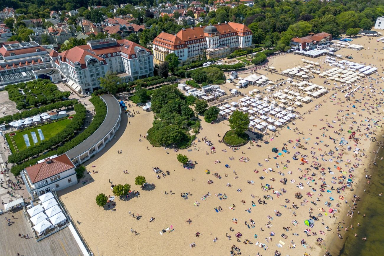 Dzik pojawił się na sopockiej plaży i wtargnął do namiotu