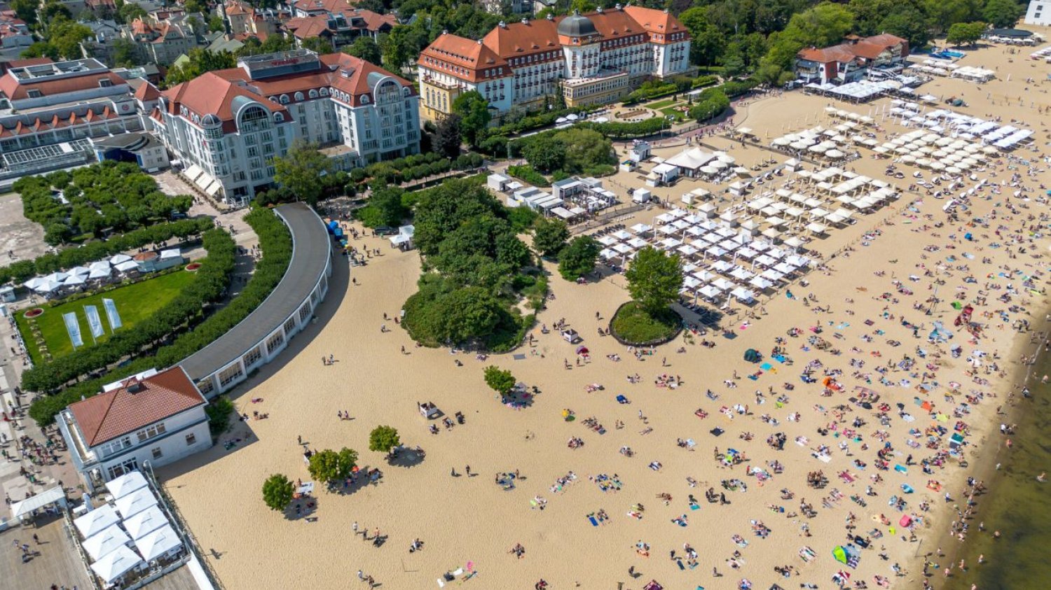 Dzik pojawił się na sopockiej plaży i wtargnął do namiotu