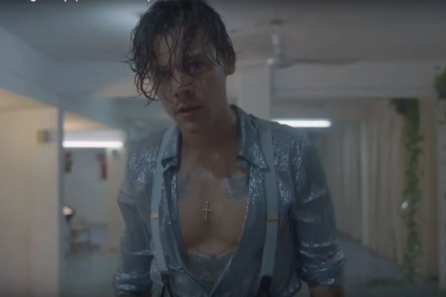 Harry Styles ma za nic kontrukty "prawdziwej" męskości