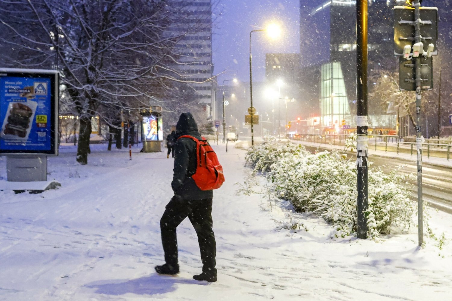 Do Polski nadchodzi uderzenie zimy. Wskazano datę.