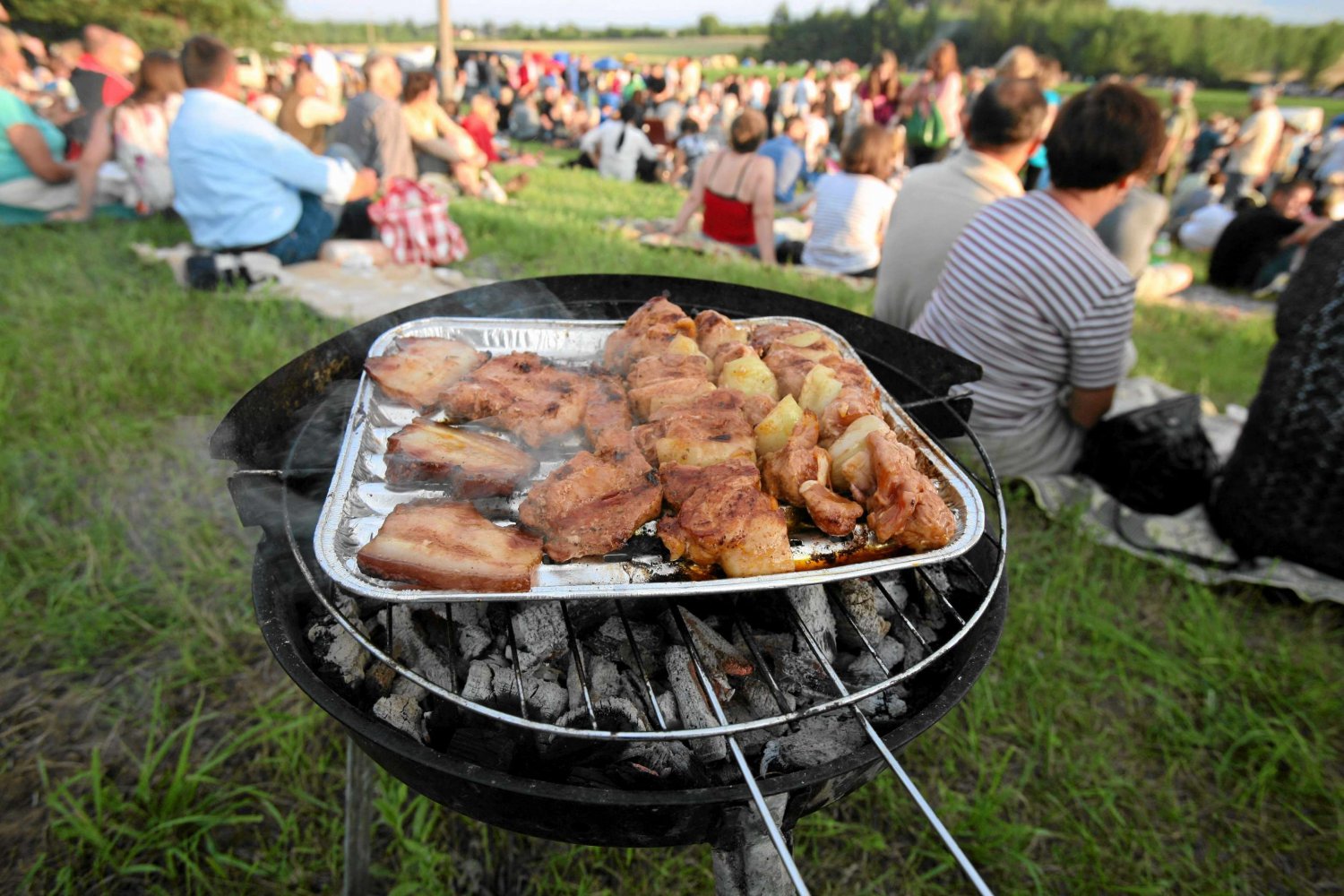 Waldemar Pawlak zaprasza na Pokojowy Grill Polityczny w Natolinie