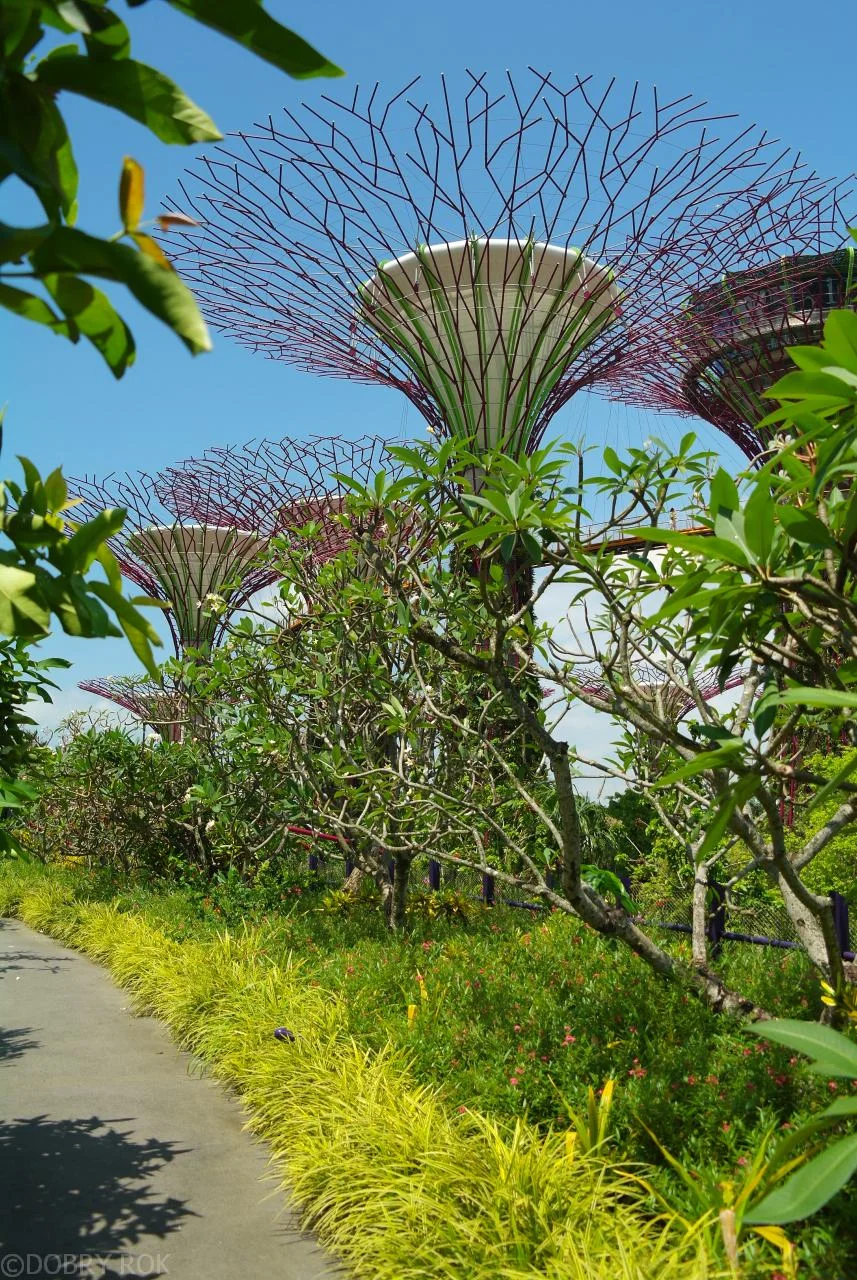 Garden of the Bay, Singapur