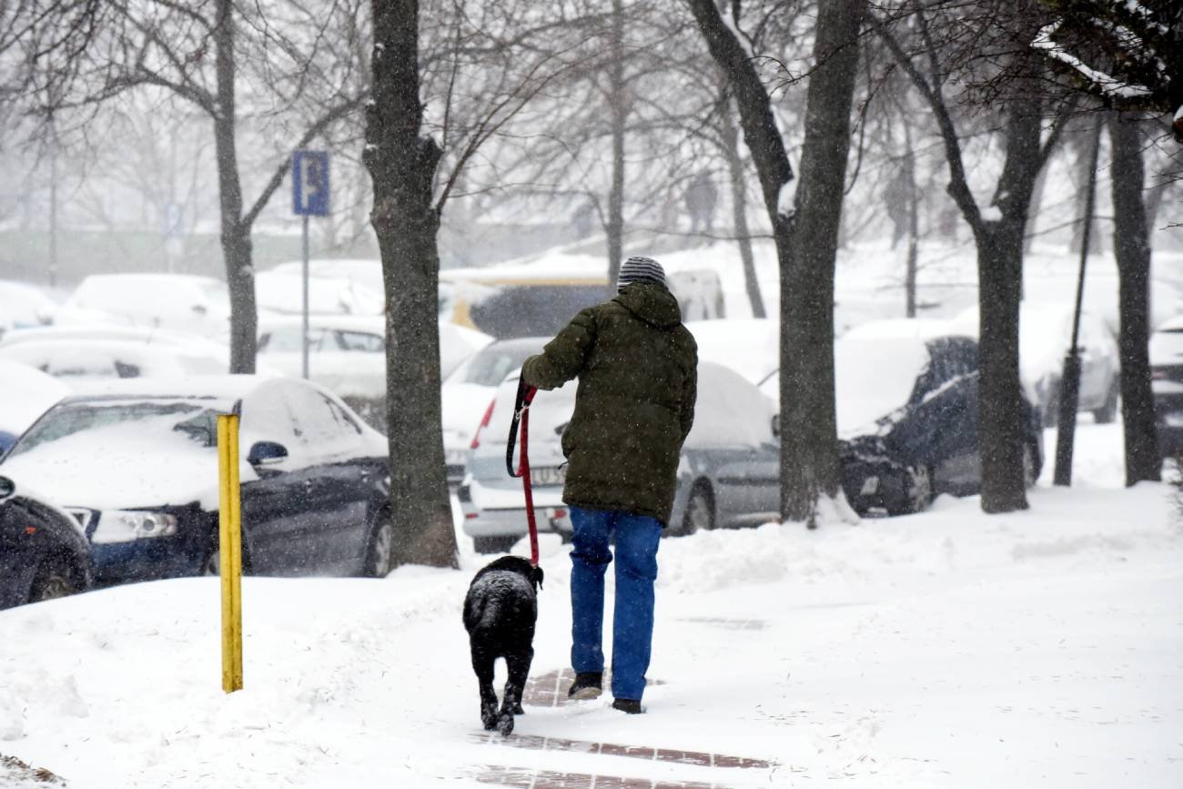 IMGW ujawniło prognozę zagrożeń meteorologicznych na najbliższe dni