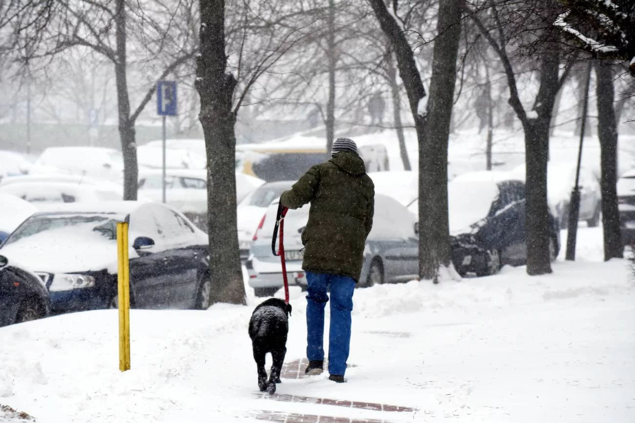 IMGW ujawniło prognozę zagrożeń meteorologicznych na najbliższe dni