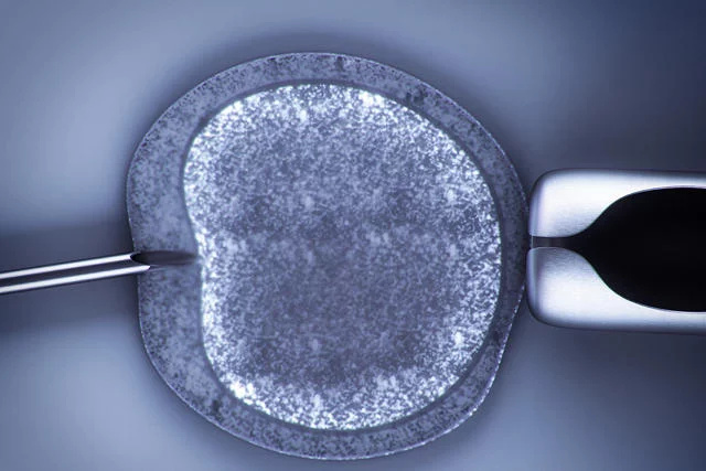 W Anglii zabiegi in vitro są refundowane