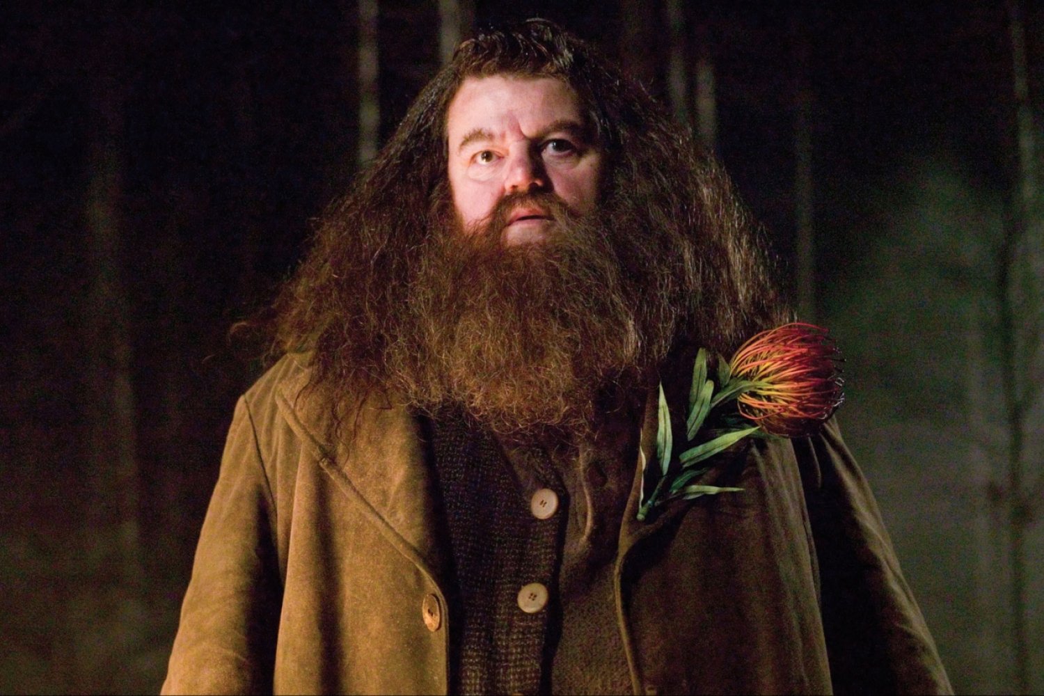 Podano przyczynę śmierci Robbie'ego Coltrane'a, aktora grającego Hagrida w filmach o Harrym Potterze. Podano przyczynę śmierci Robbie'ego Coltrane'a, aktora grającego Hagrida w filmach o Harrym Potterze.