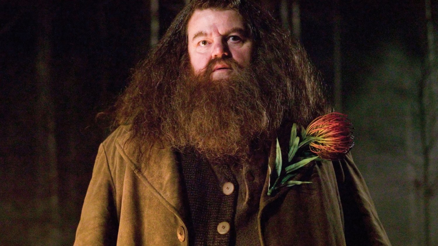 Podano przyczynę śmierci Robbie'ego Coltrane'a, aktora grającego Hagrida w filmach o Harrym Potterze. Podano przyczynę śmierci Robbie'ego Coltrane'a, aktora grającego Hagrida w filmach o Harrym Potterze.