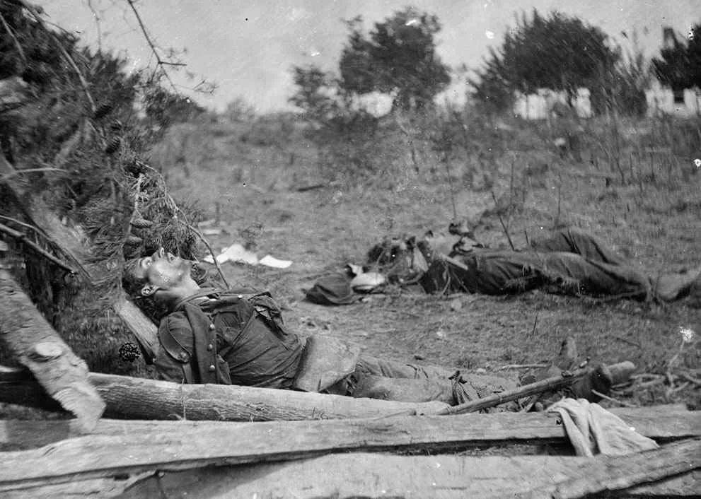 Zwłoki żołnierzy Konfederacji w pobliżu Spotsylvania Court House, Virginia, maj 1864. fot.Timothy H.O'Sullivan