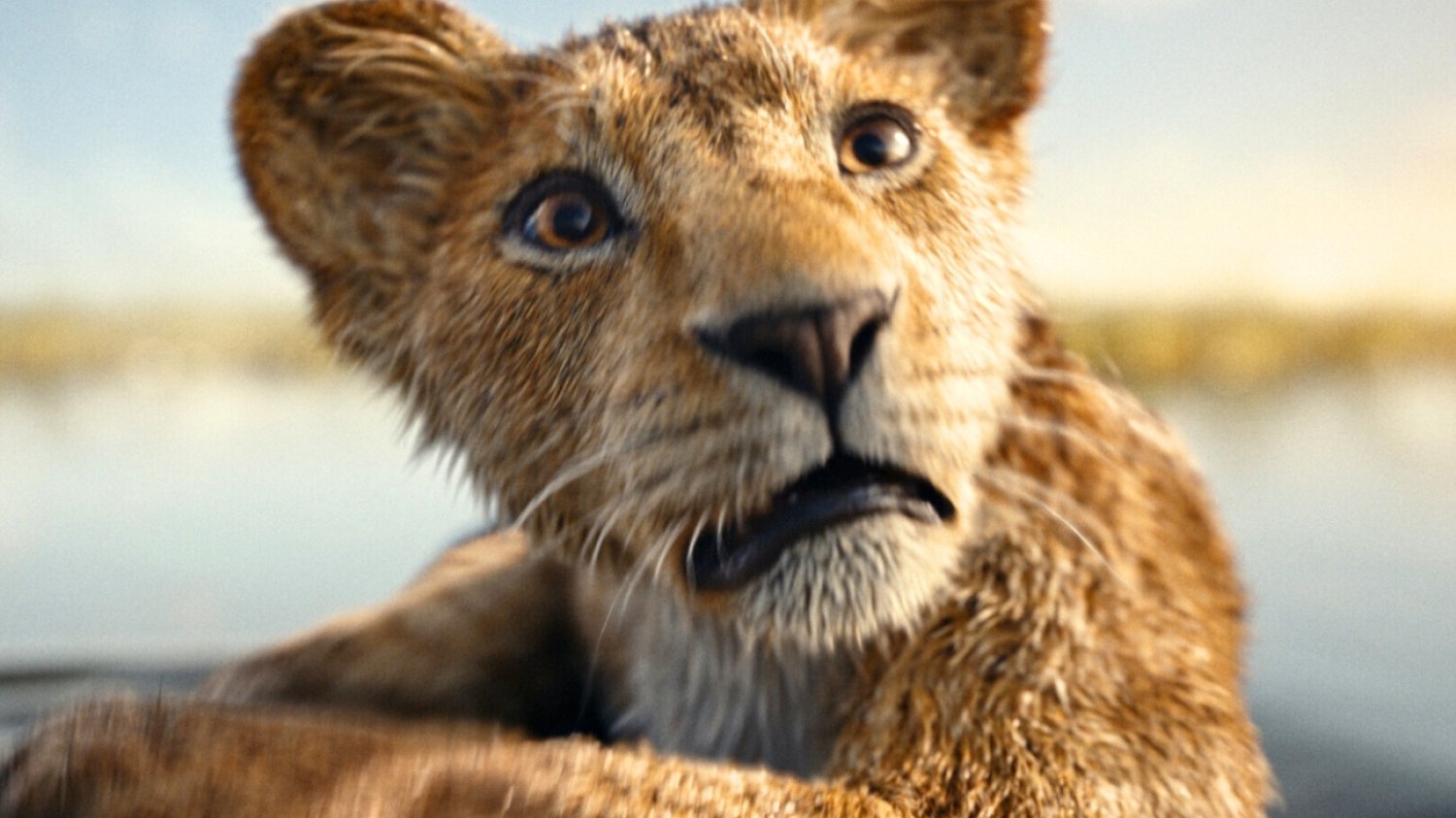 Czy warto iść do kina na film "Mufasa: Król lew"? Recenzje krytyków i widzów
