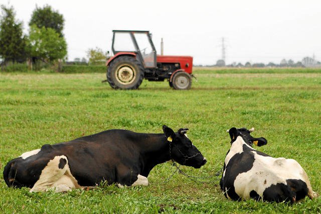 Kristof Pajer szuka najemców, którzy zapłacą za możliwość zarządzania wsią Megyer